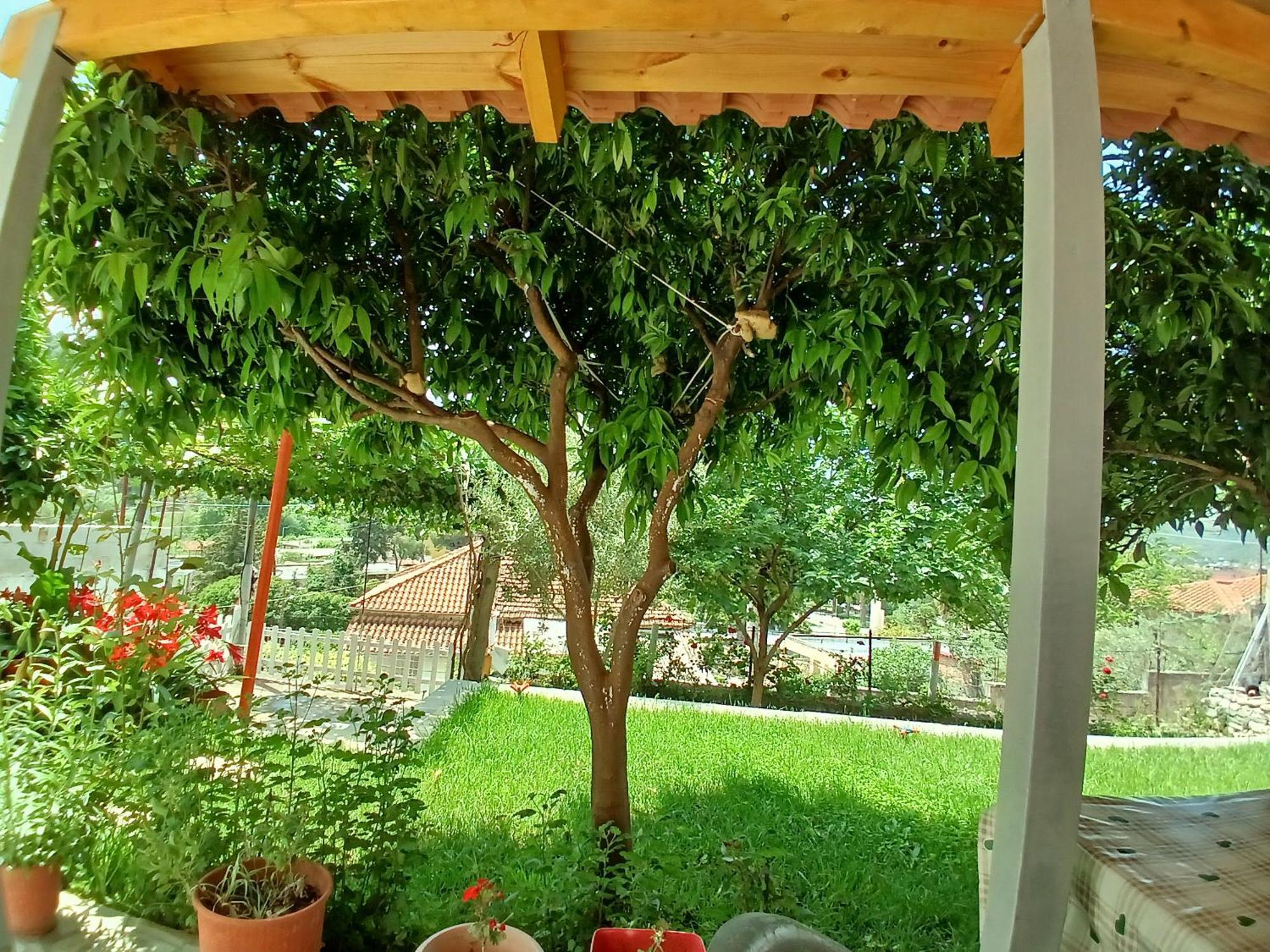 Guest House Noah&Kristel Berat Exterior foto