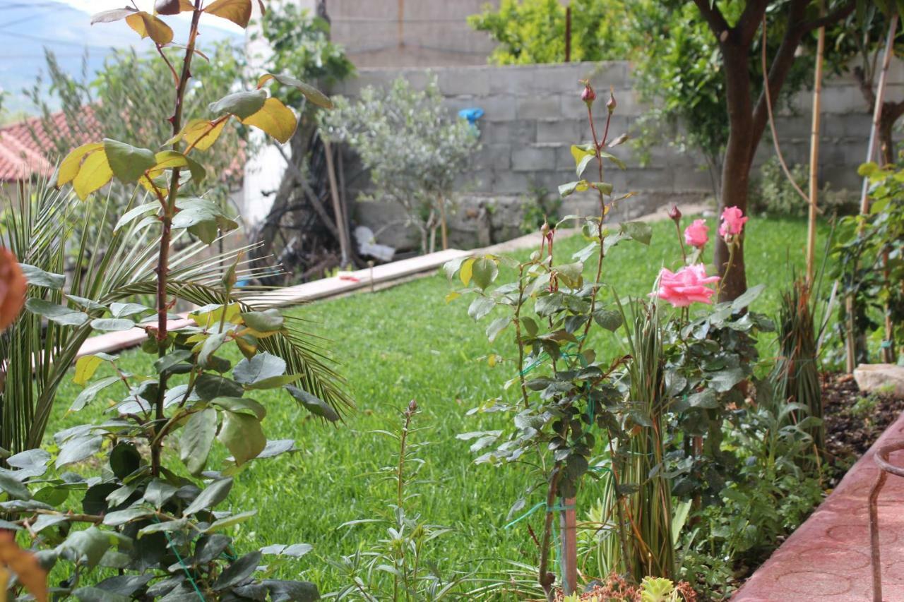 Guest House Noah&Kristel Berat Exterior foto